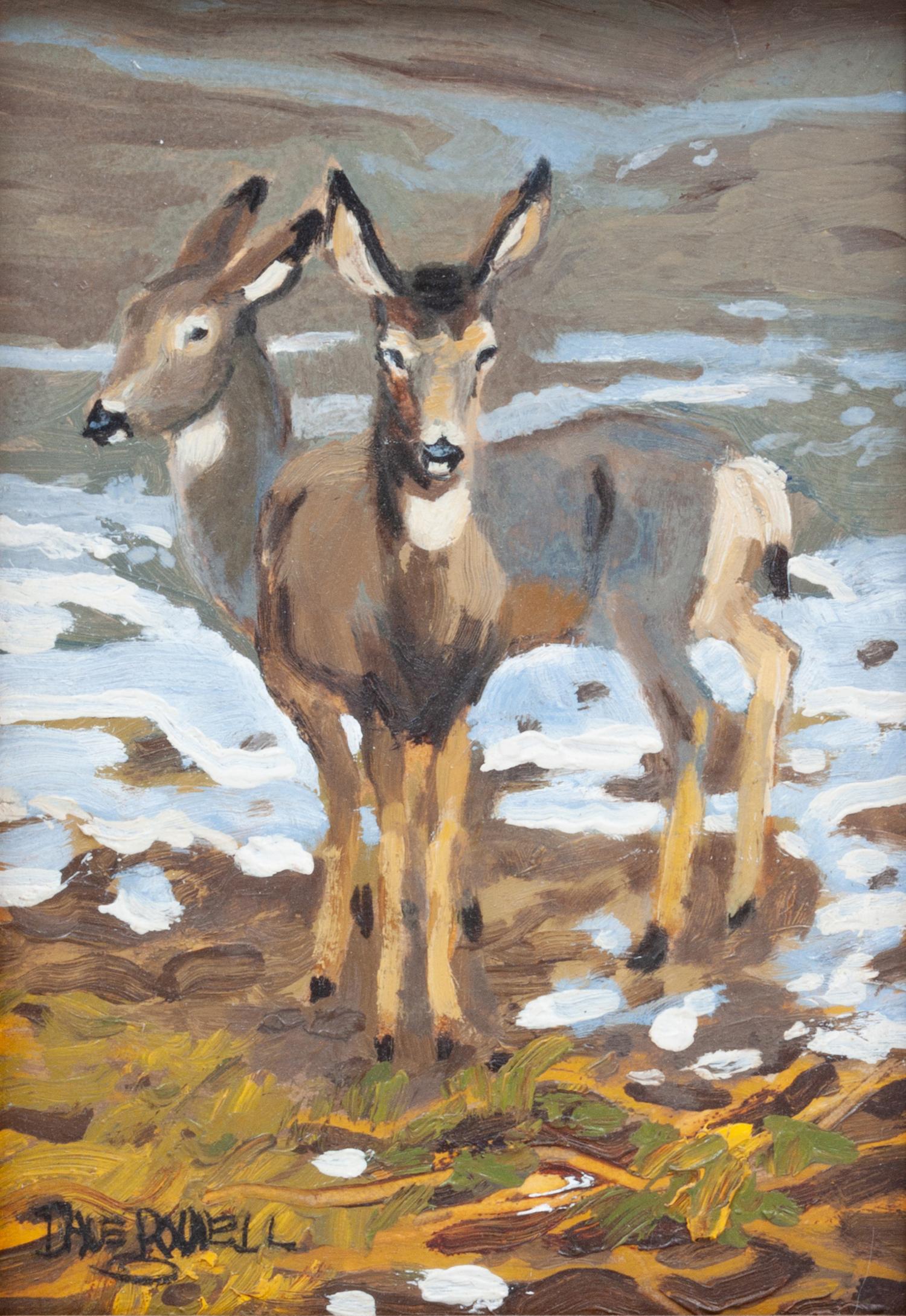 Two Mule Deer