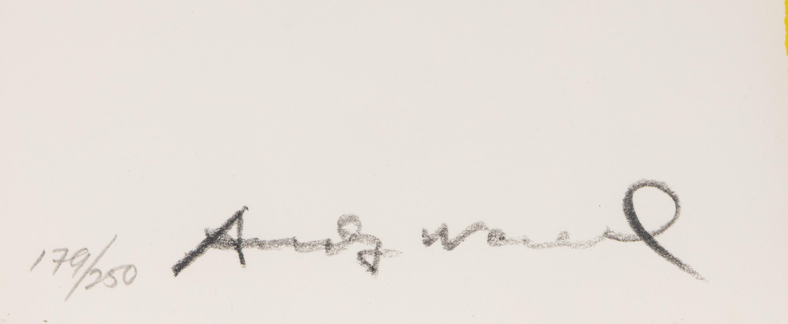 Andy Warhol (American, 1928–1987) — Cowboys and Indians (the complete portfolio of ten), 1986