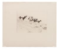 Antelope