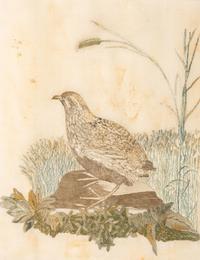 Two Needlework Embroidered Pictures with Birds