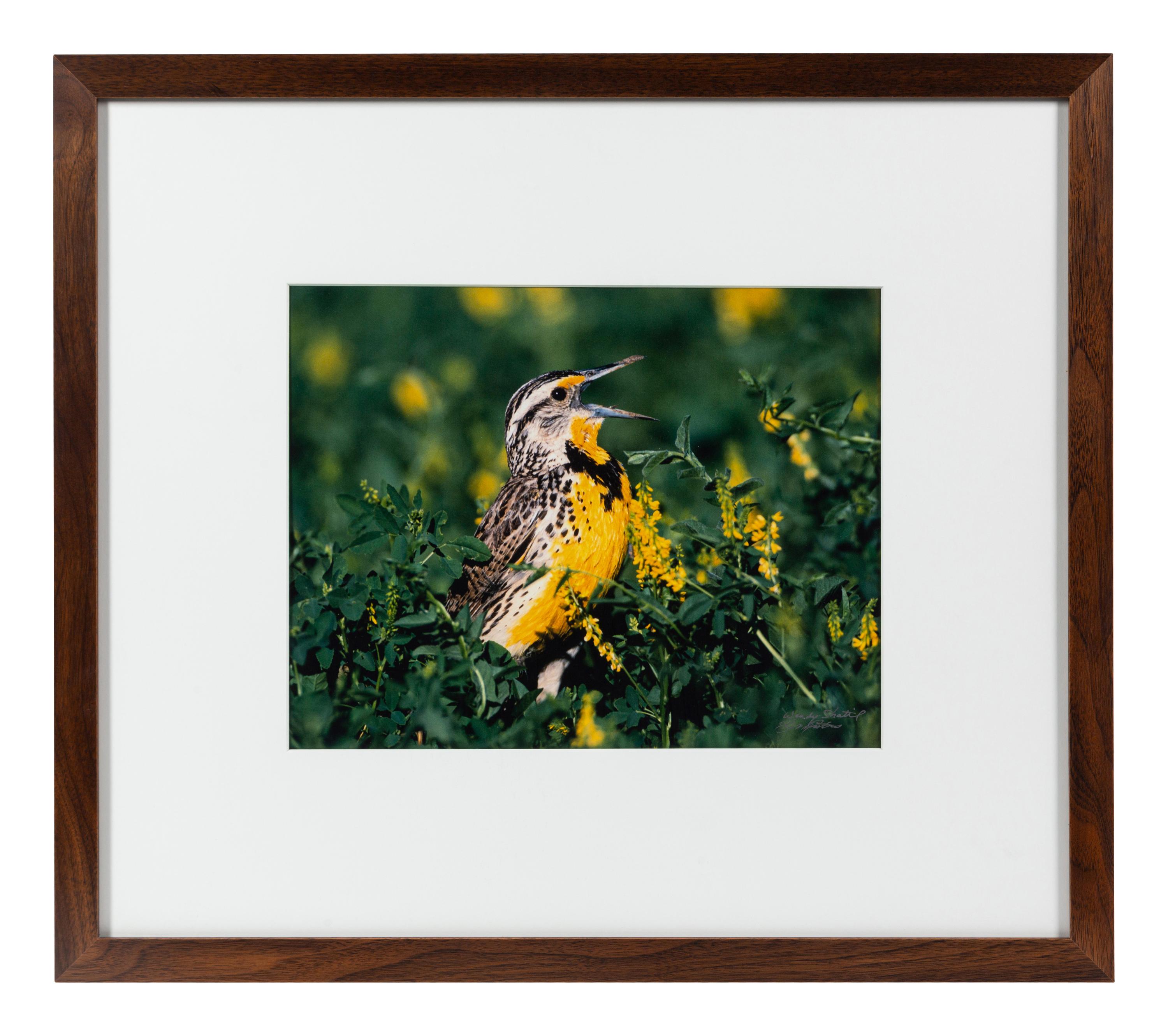 Prairie Vision: Images from a Sea of Grass (2002) Twenty Color Photographs