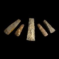 Five Neolithic Flint Thin and Square-Butted Axes