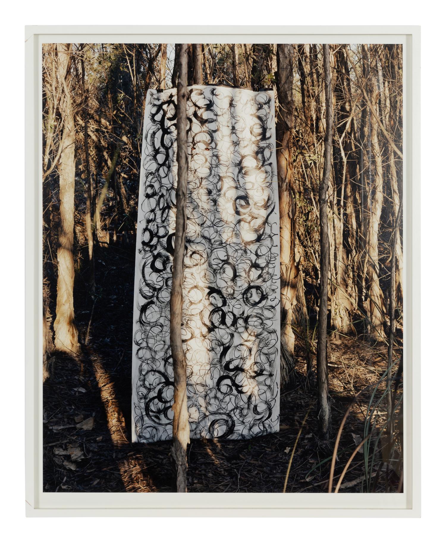 Untitled II (Everglades), A Triptych, 2003
