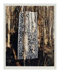 Untitled II (Everglades), A Triptych, 2003