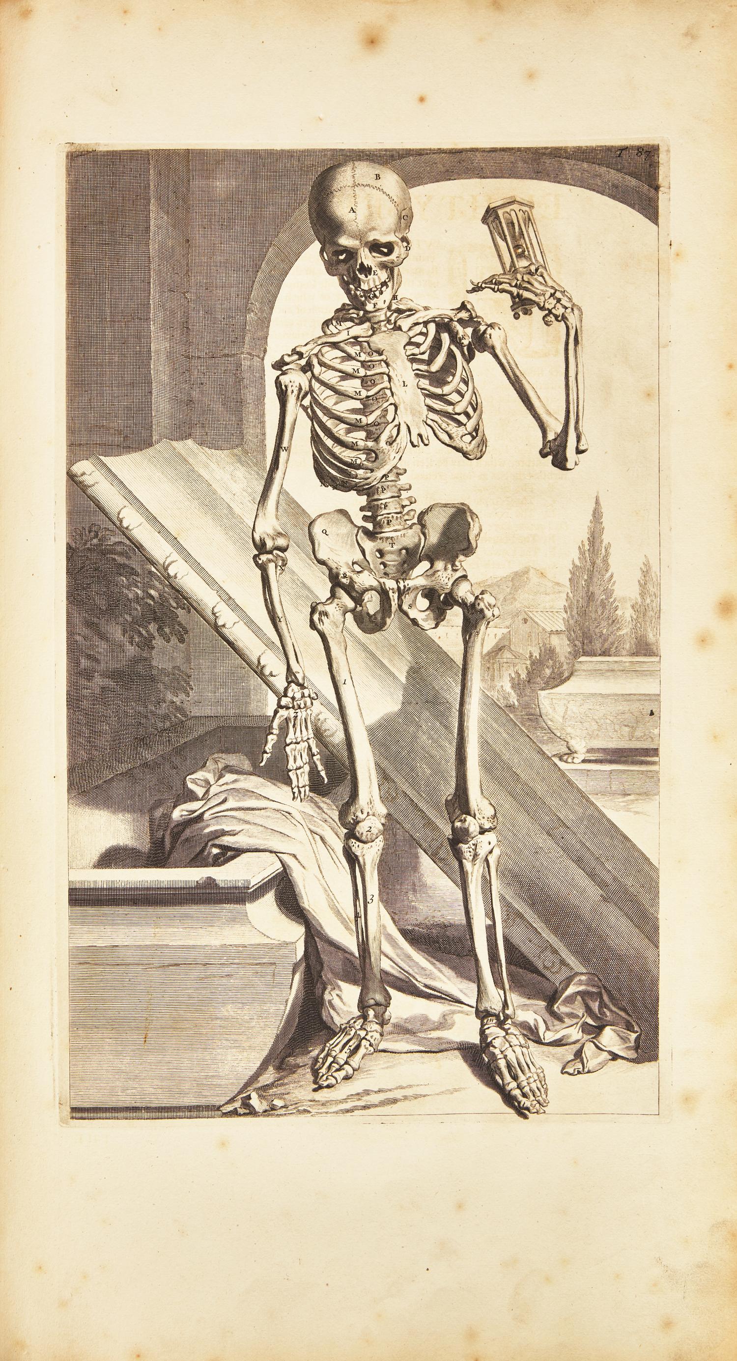 [Science, Medicine & Mathematics] Cowper, William. The Anatomy of Humane Bodies...