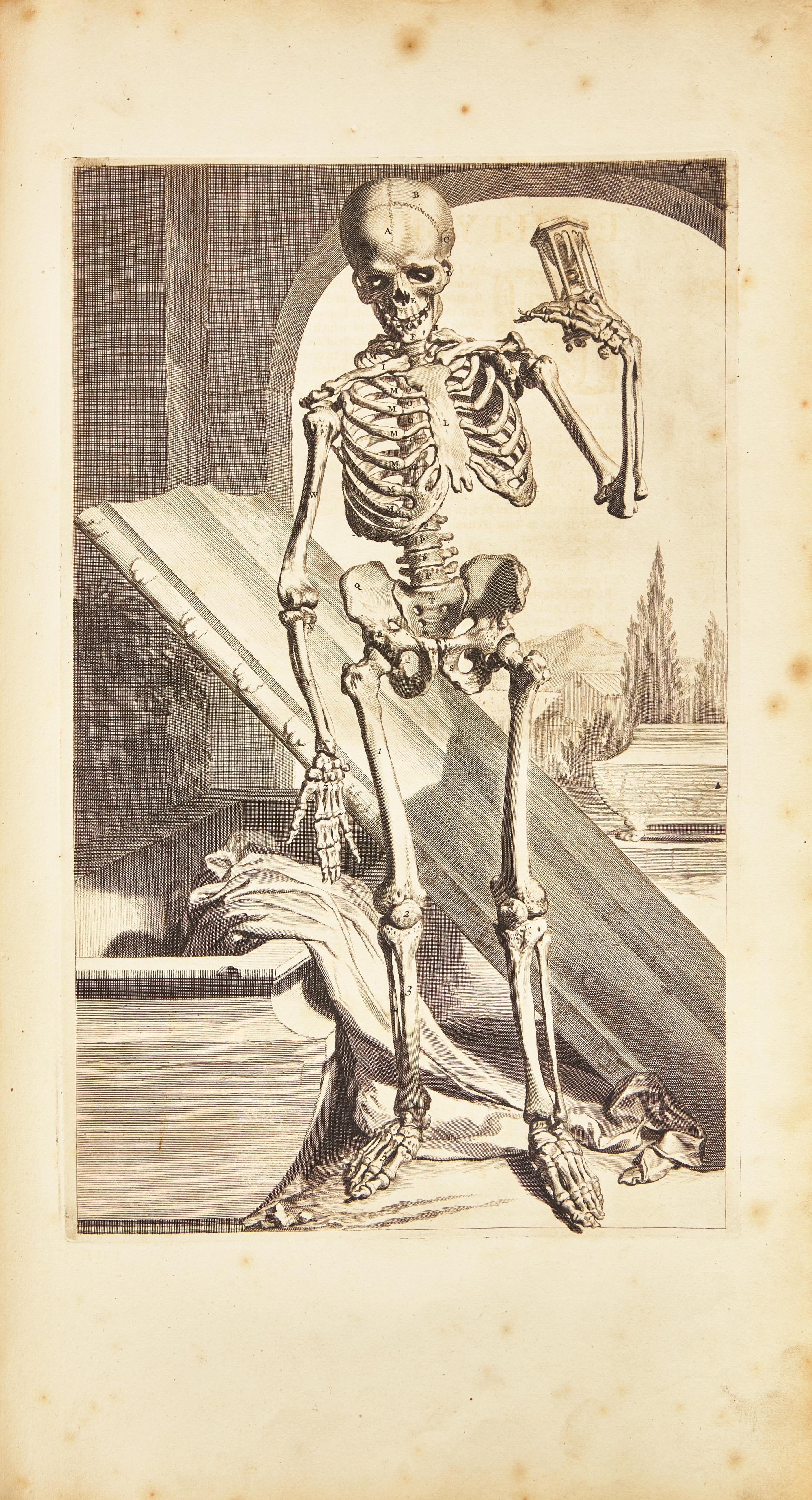 [Science, Medicine & Mathematics] Cowper, William. The Anatomy of Humane Bodies...
