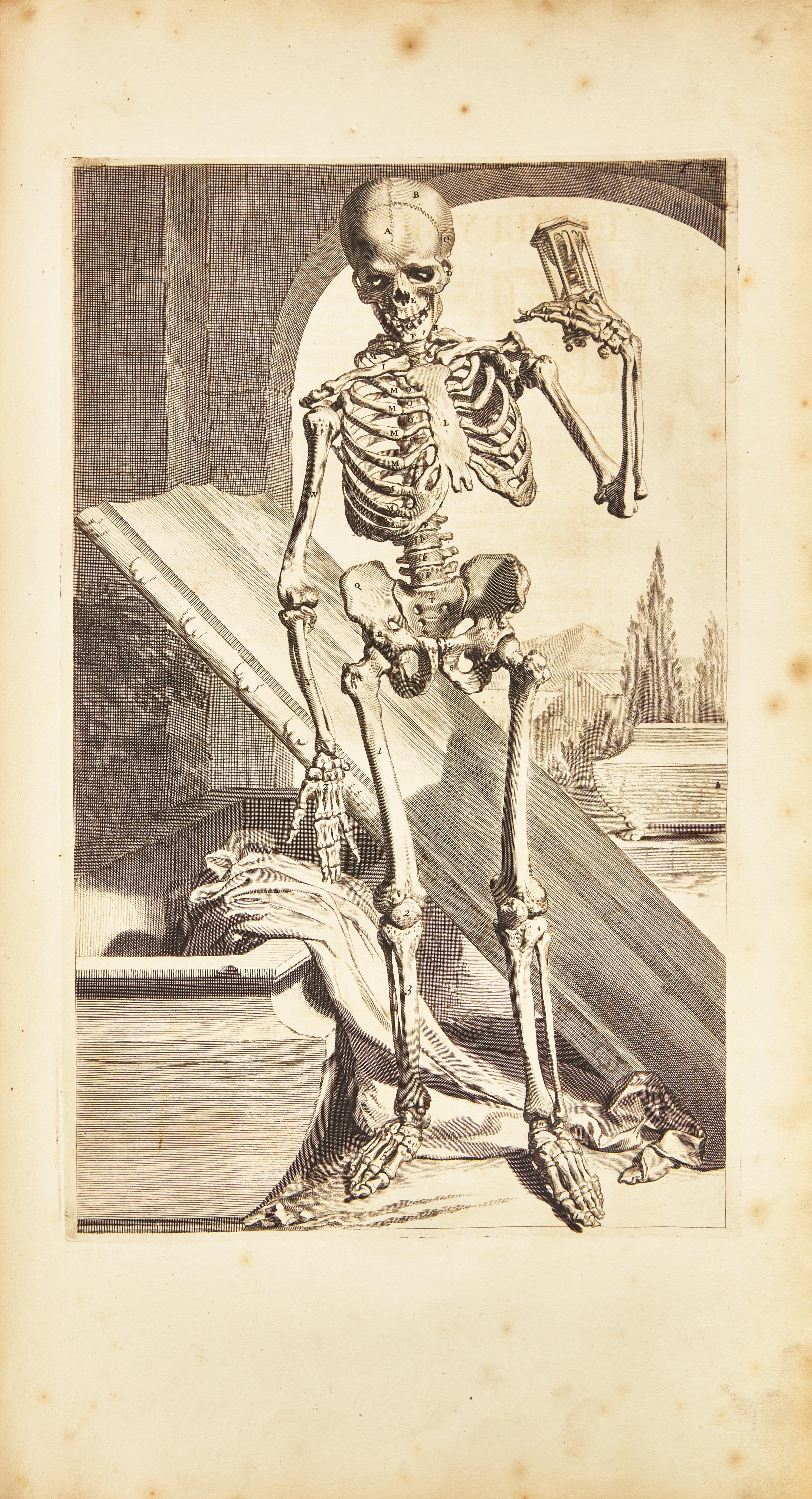 [Science, Medicine & Mathematics] Cowper, William. The Anatomy of Humane Bodies...