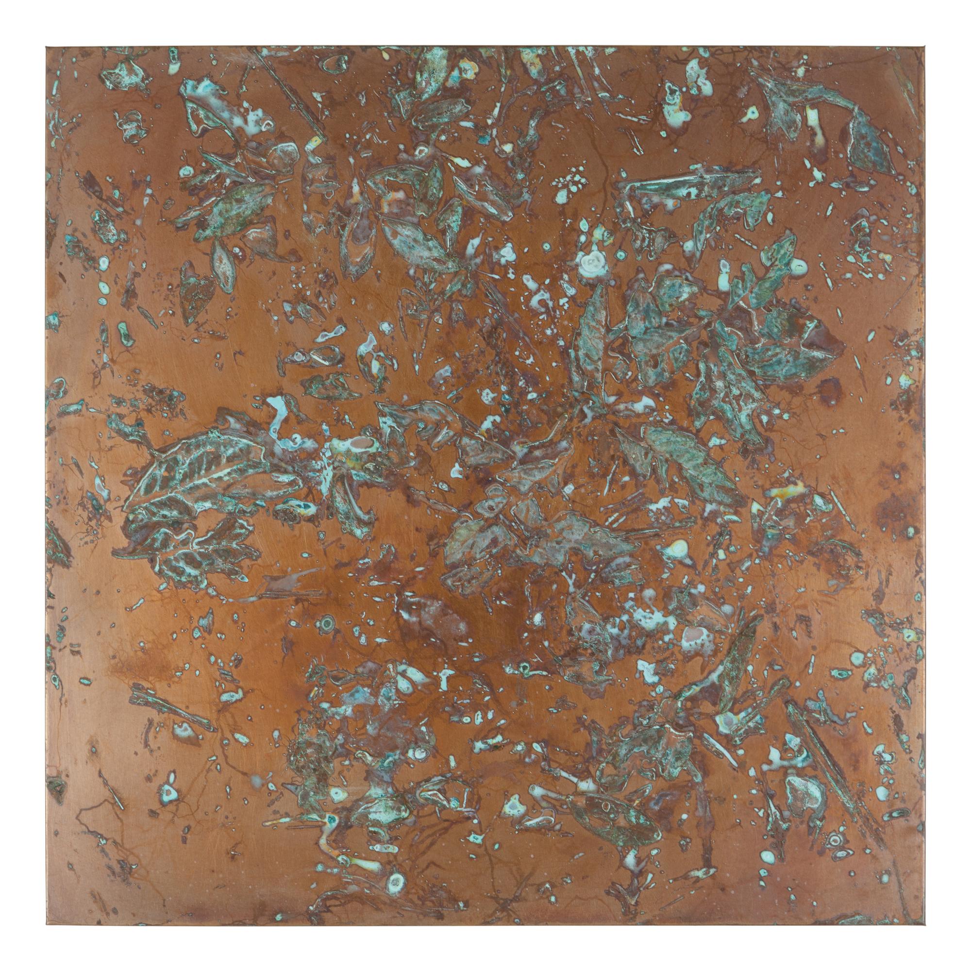 From Forest Mapping Series