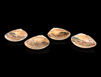 Two Pairs of Japanese Satsuma Shell-Form Games