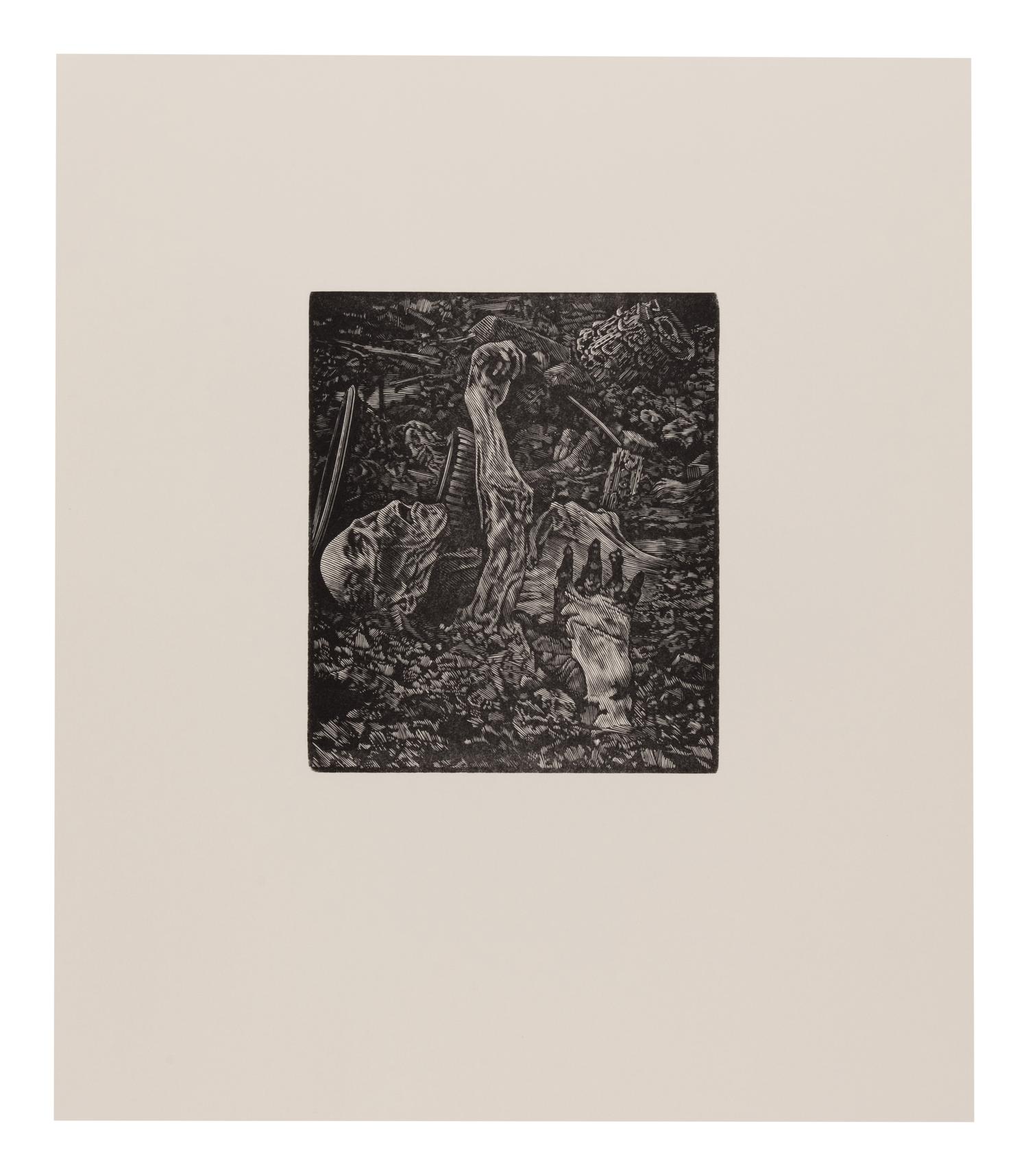[MOSER, BARRY, illustrator]. Ashen Sky: The Letters of Pliny the Younger on the Eruption of Vesuvius . Los Angeles: Getty Museum, [2007].