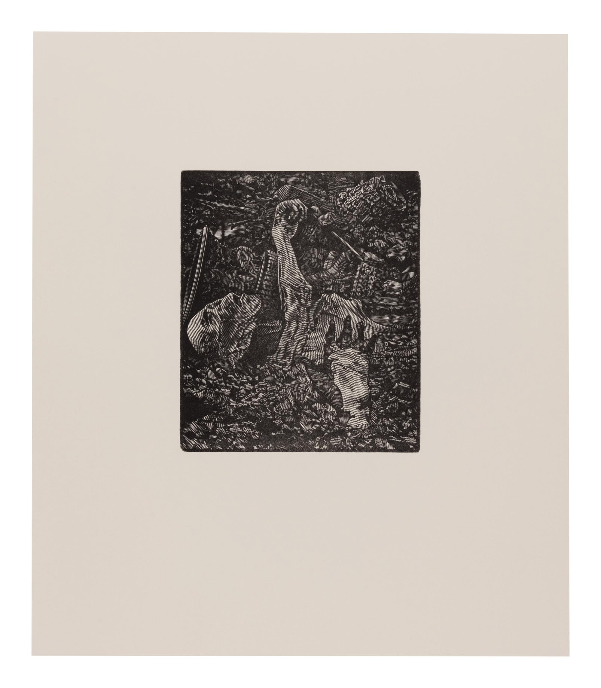 [MOSER, BARRY, illustrator]. Ashen Sky: The Letters of Pliny the Younger on the Eruption of Vesuvius . Los Angeles: Getty Museum, [2007].
