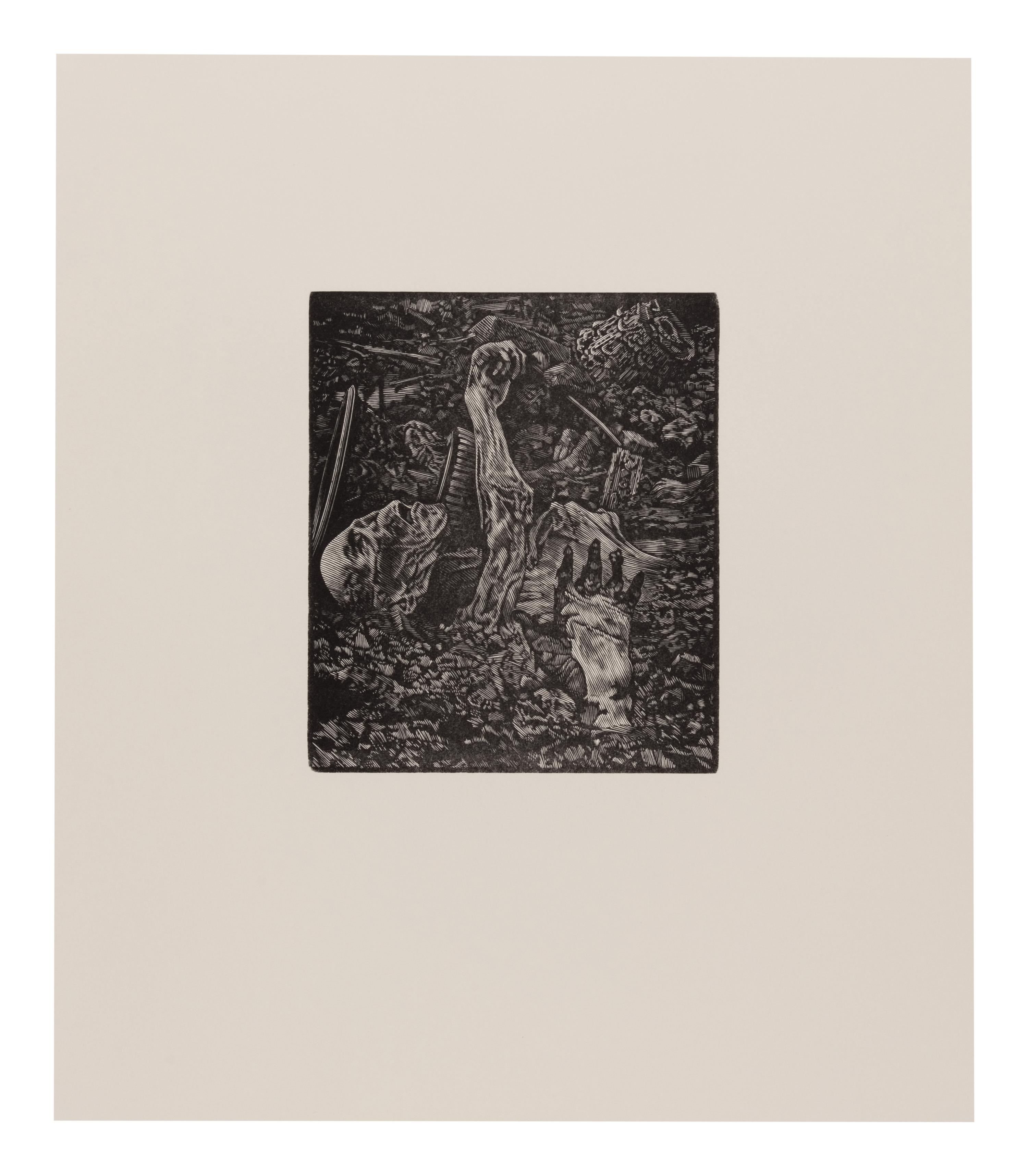 [MOSER, BARRY, illustrator]. Ashen Sky: The Letters of Pliny the Younger on the Eruption of Vesuvius . Los Angeles: Getty Museum, [2007].