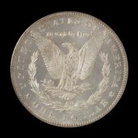 A United States 1884-CC Morgan Silver Dollar Coin