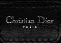 Christian Dior, Admit It Corset Bag
