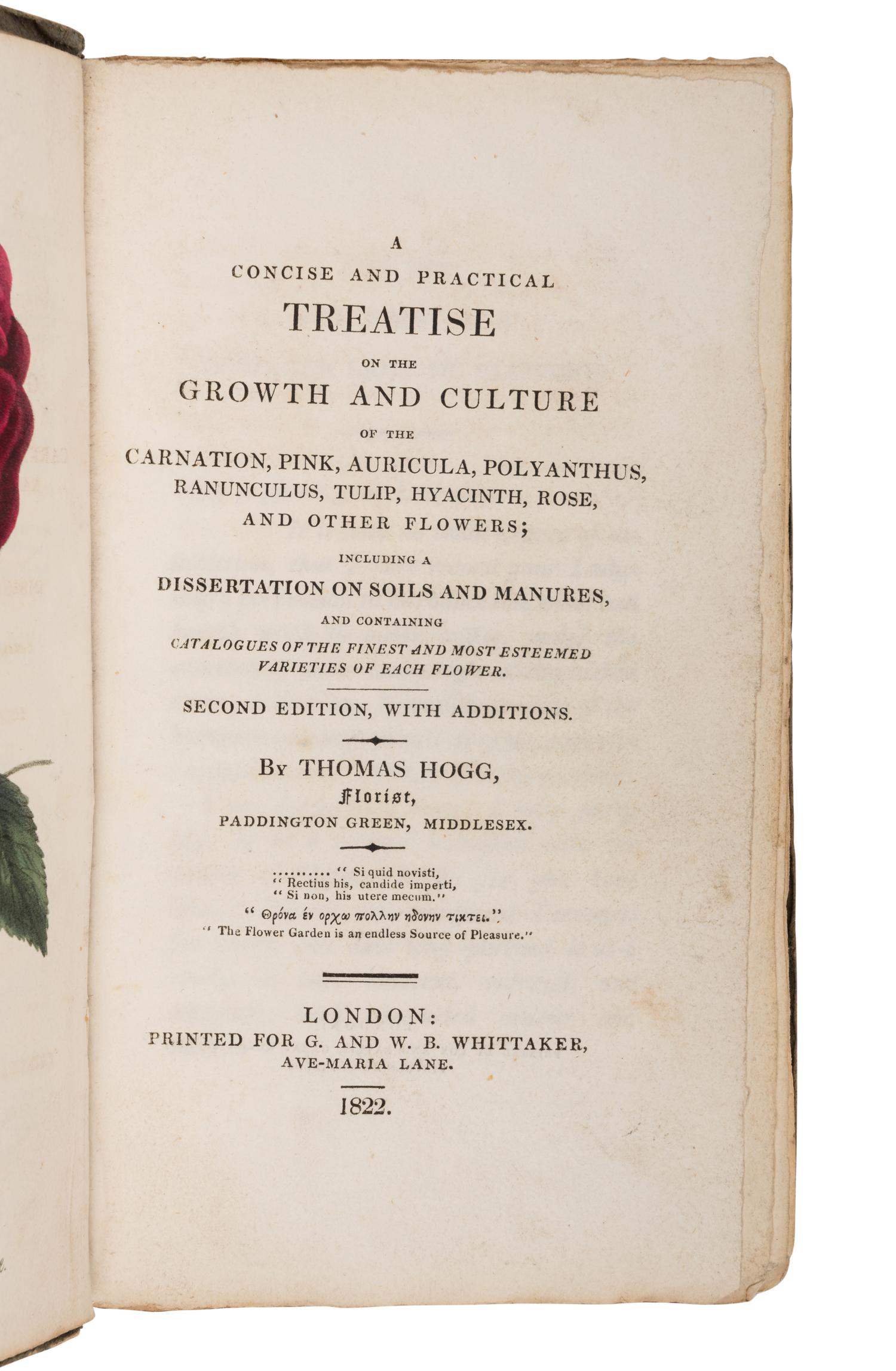 HOGG, Thomas (1771-1841). A Concise and Practical Treatise on the Growth and Culture of the Carnation...Tulip, Hyacinth, Rose and other Flowers . London: G. and W.B. Whittaker, 1822.