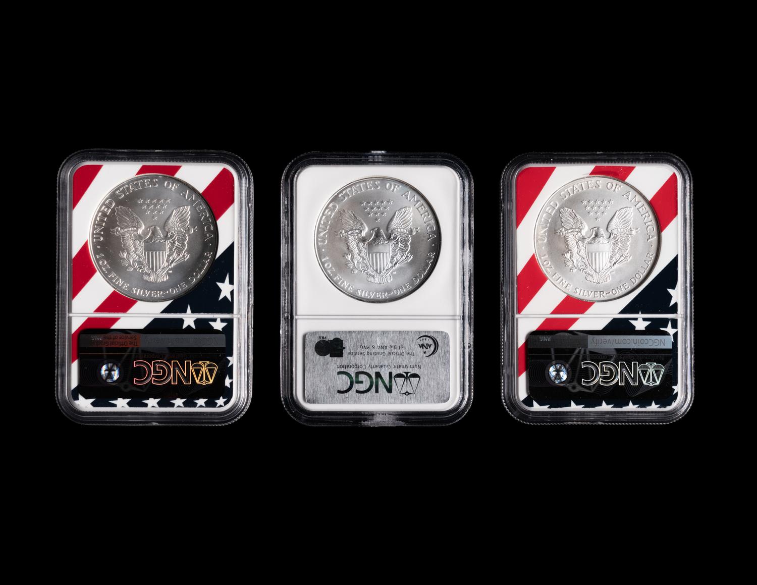 A Large Collection of One Hundred and Seventy NGC Graded MS69 Silver Eagle $1 Coins