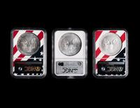 A Large Collection of One Hundred and Seventy NGC Graded MS69 Silver Eagle $1 Coins