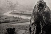 Sebastião Salgado (born 1944) Mata tea plantation worker, Rwanda, 1991