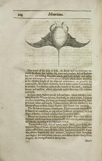 [Travel & Exploration] (Thomas, Herbert). A Relation of Some Yeares Travaile, Begunne Anno 1626. Into Afrique and the greater Asia, especially the Territories of the Persian Monarchie: and some parts of the Orientall Indies, and Iles adjacent...
