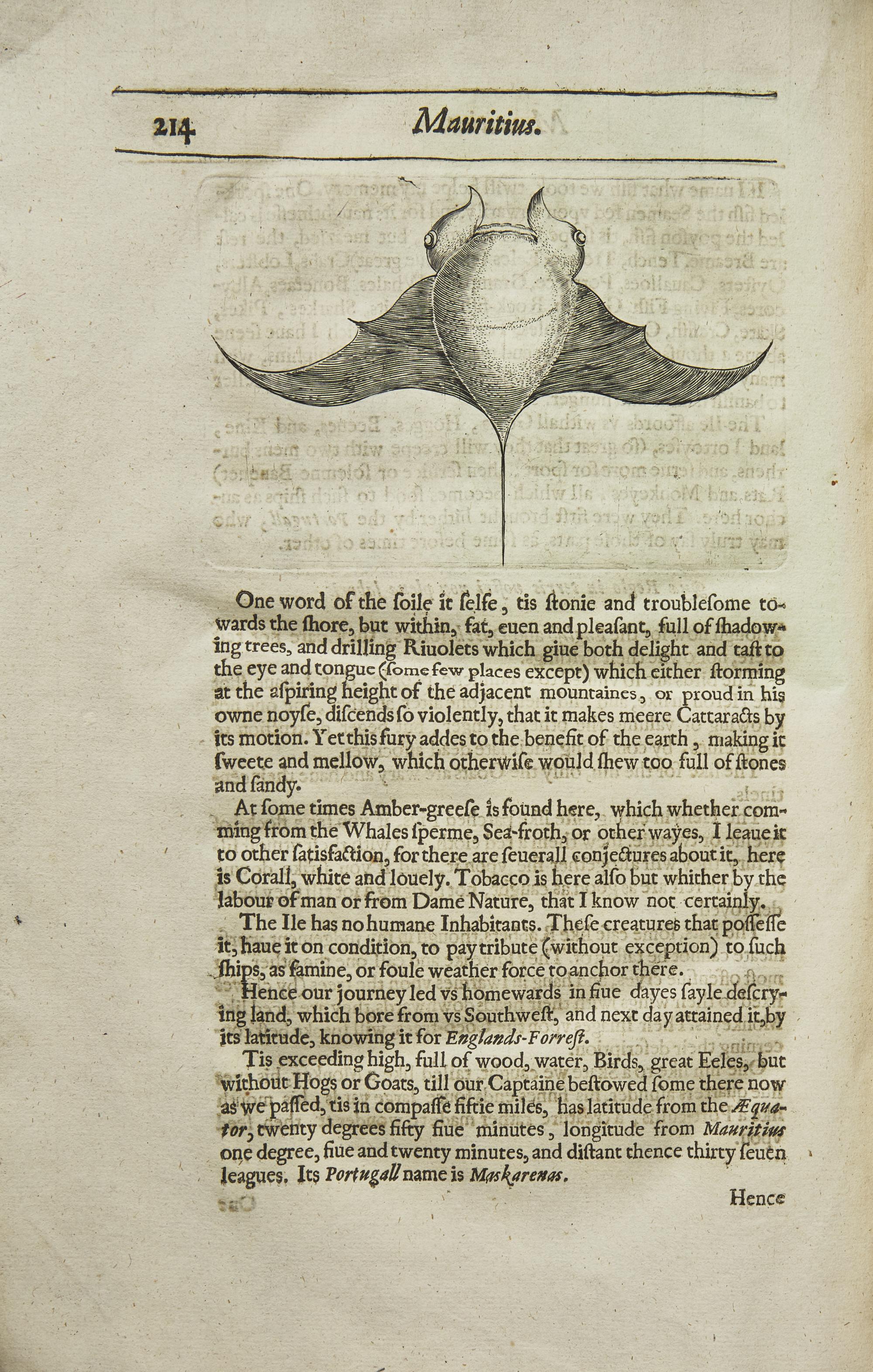 [Travel & Exploration] (Thomas, Herbert). A Relation of Some Yeares Travaile, Begunne Anno 1626. Into Afrique and the greater Asia, especially the Territories of the Persian Monarchie: and some parts of the Orientall Indies, and Iles adjacent...