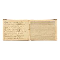 [African Americana] Poem Copied from The Liberator , Mentioning the Murder of Elijah Lovejoy, in a 19th Century American Penmanship Book