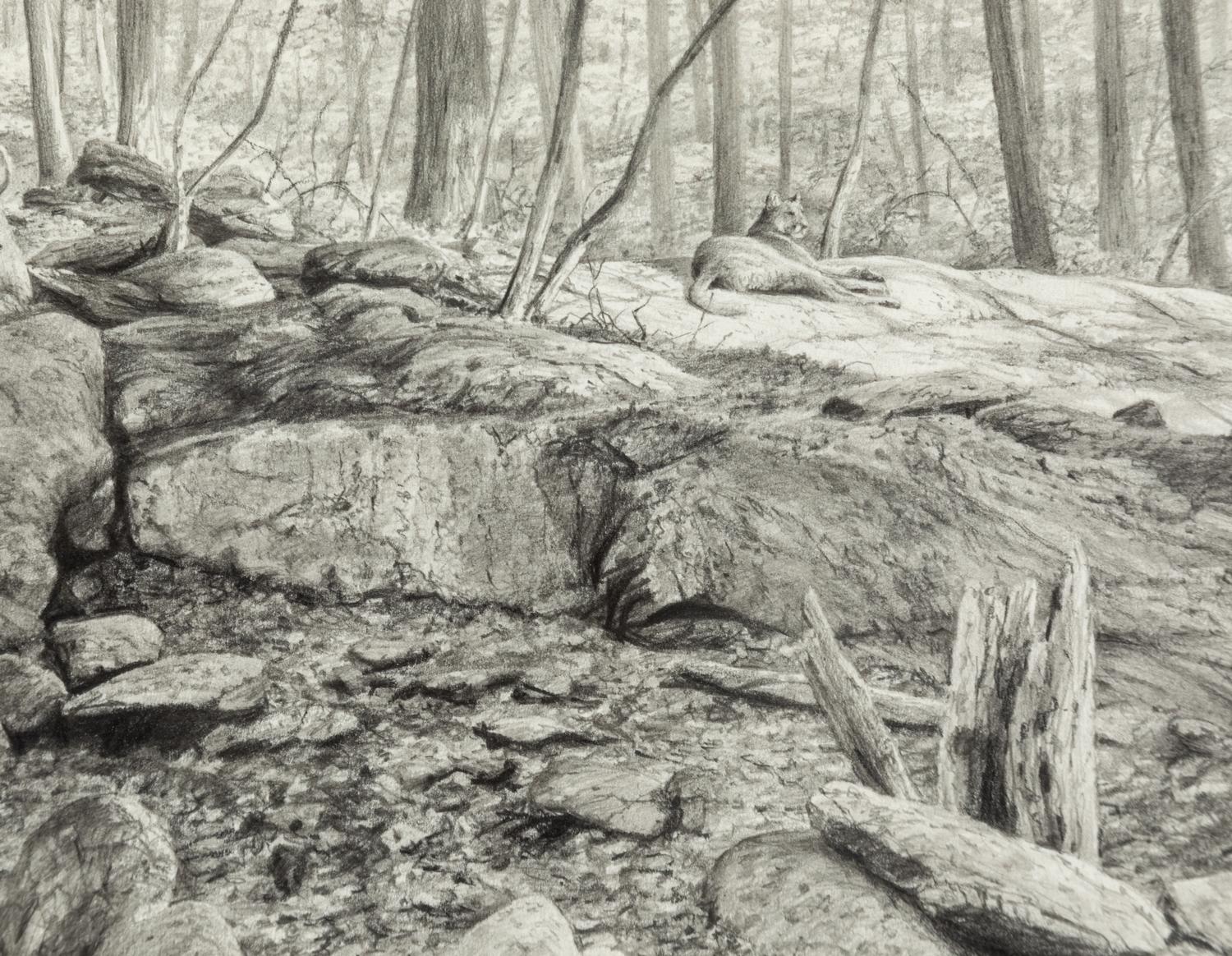Sunning , 2005