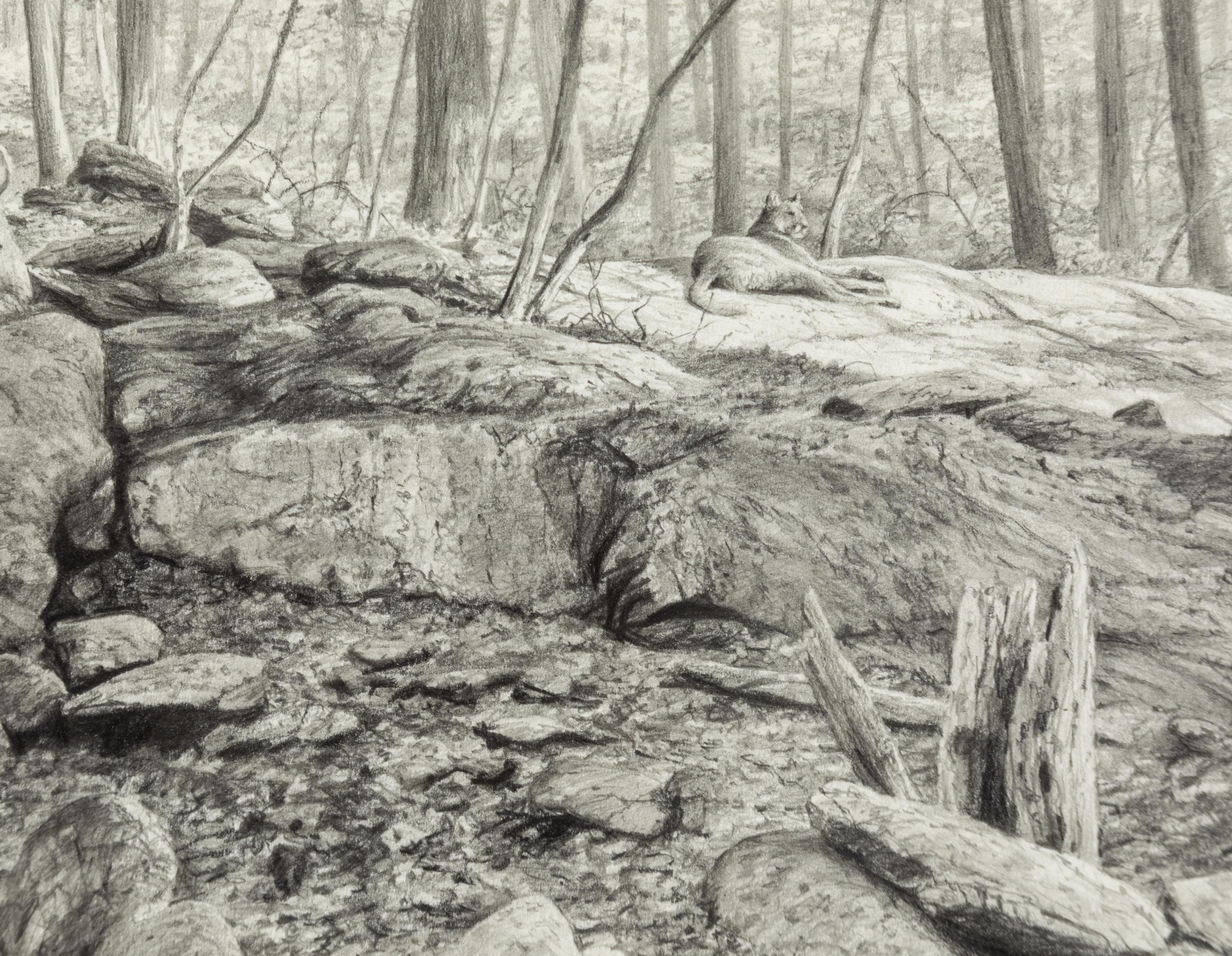 Sunning , 2005