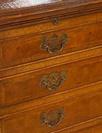 A George III Style Burlwood and Mahogany Bachelor's Chest