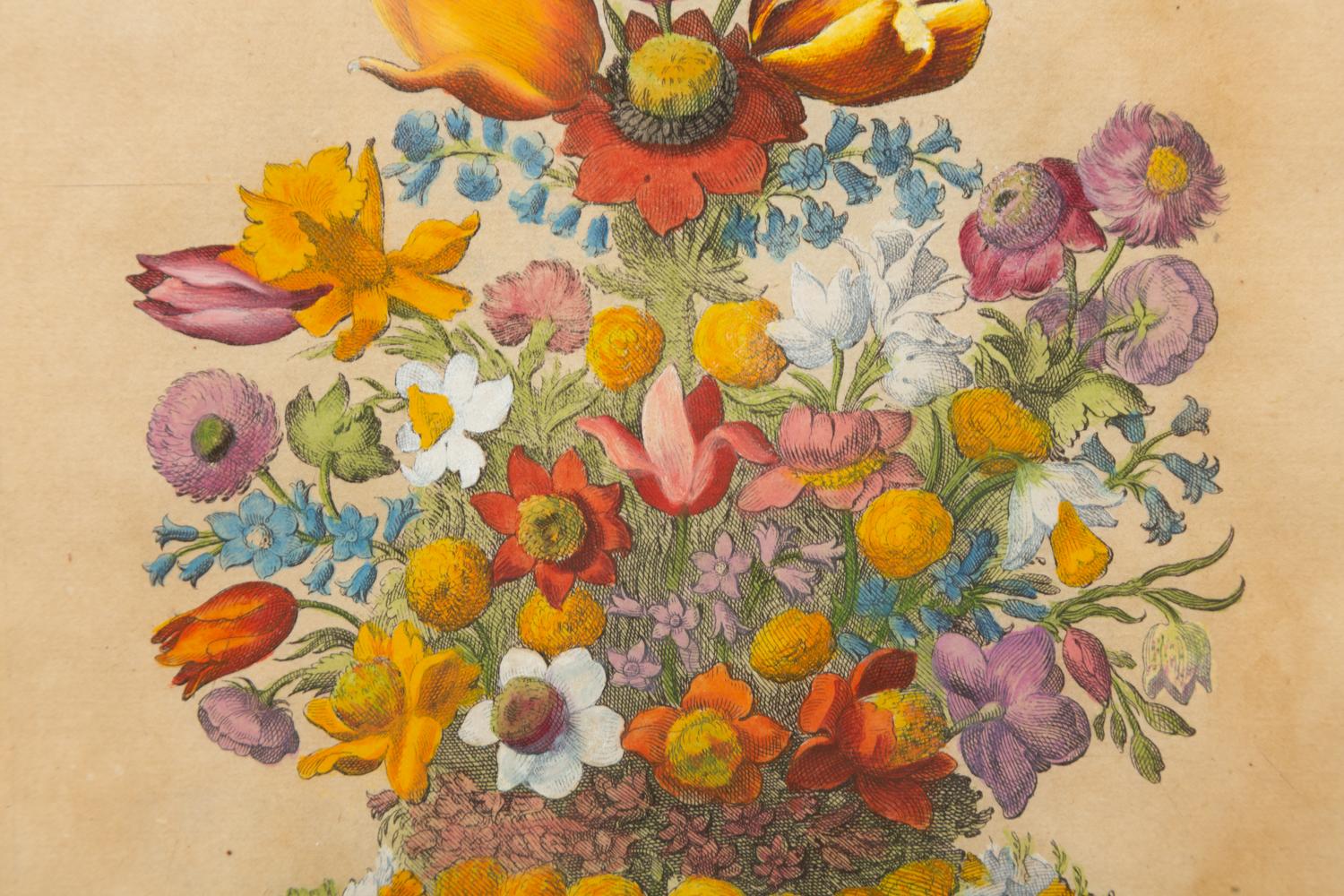 A German Hand-Colored Botanical Engraving