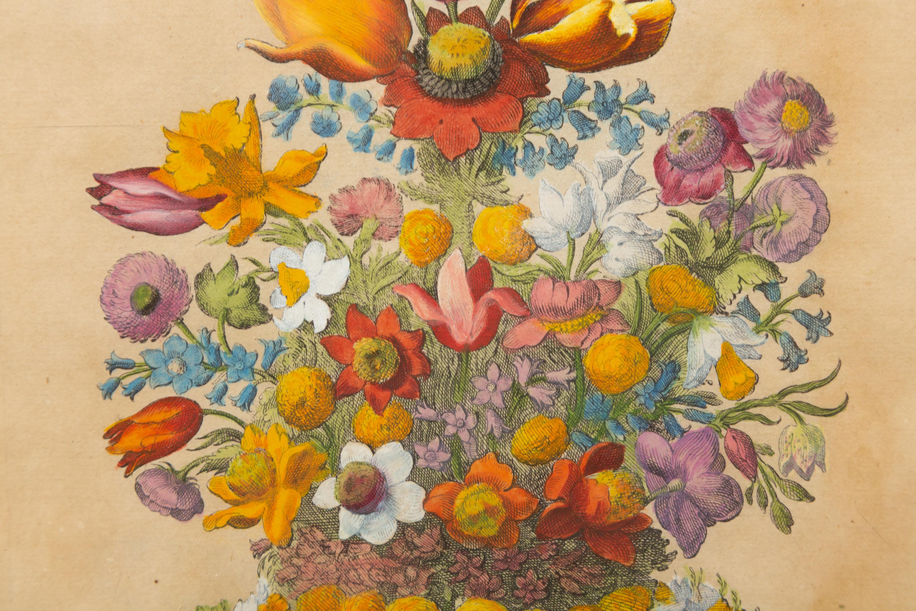 A German Hand-Colored Botanical Engraving