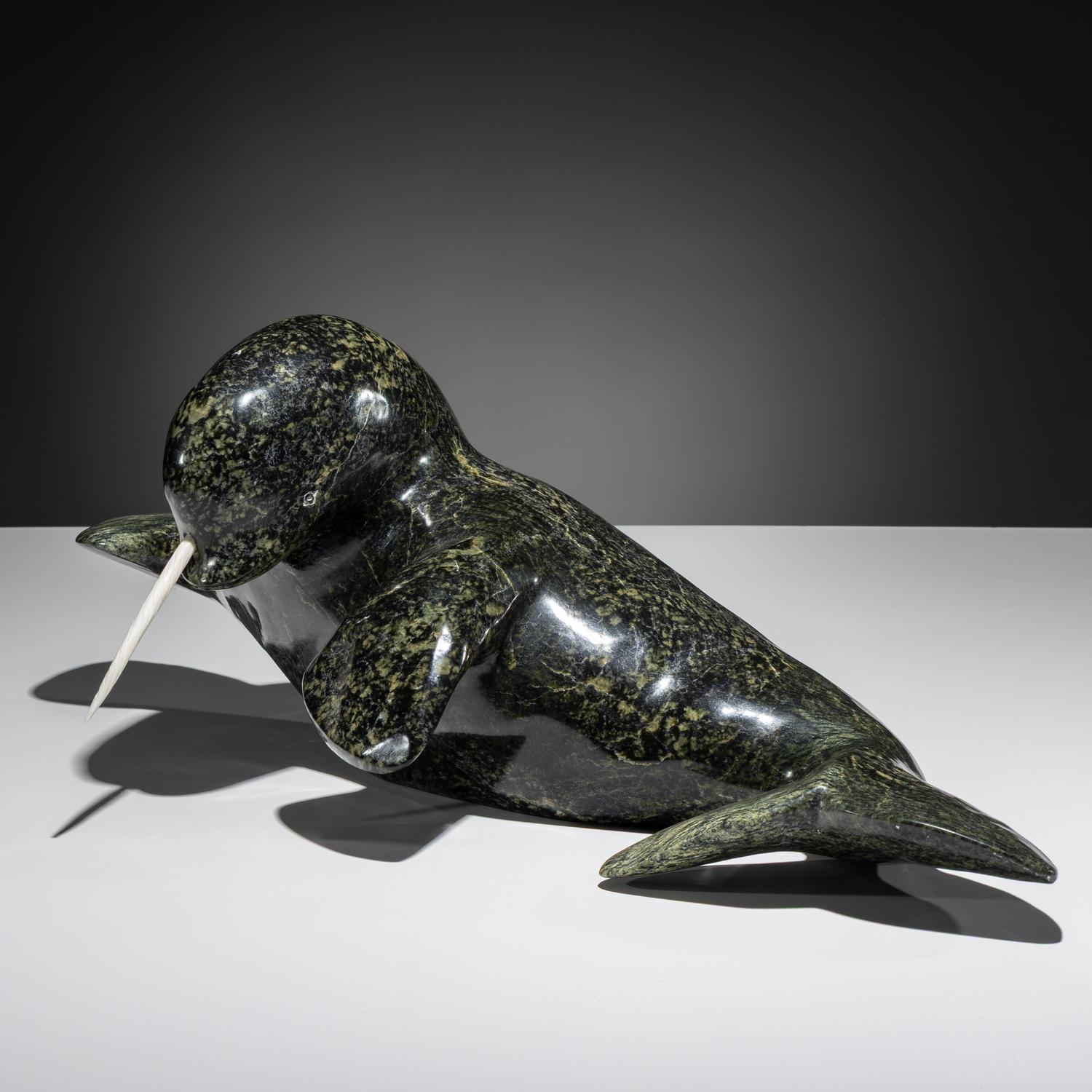 Narwhal