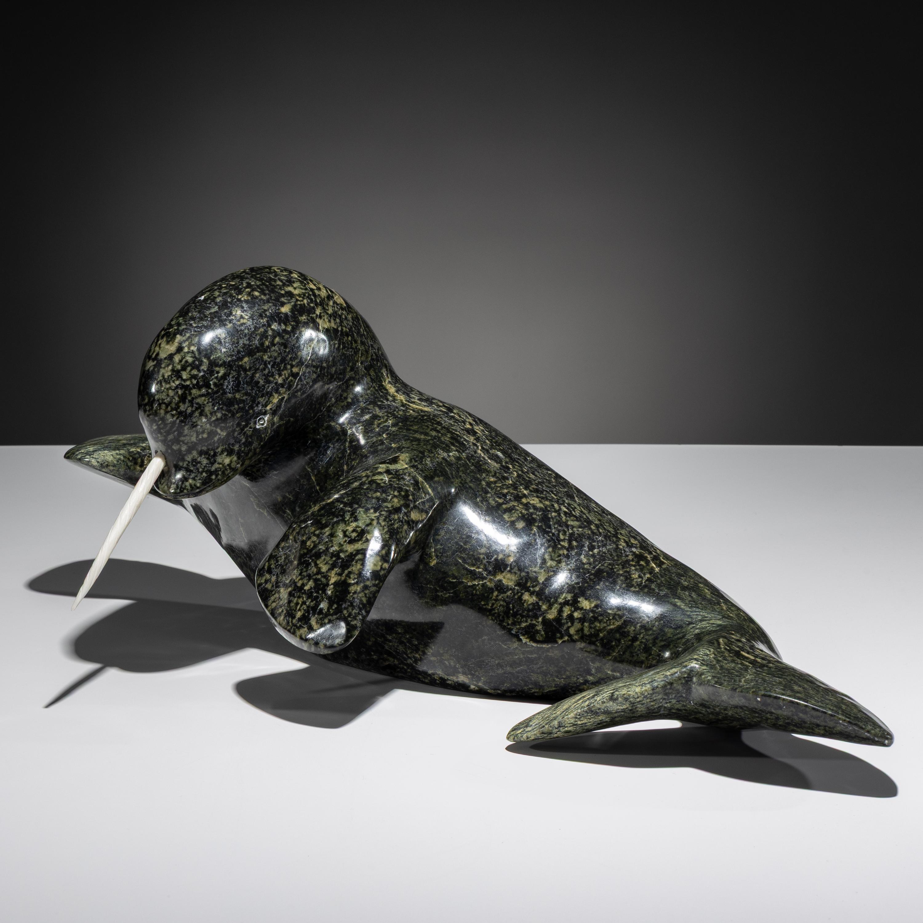 Narwhal
