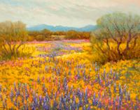 Desert Palette , 2001