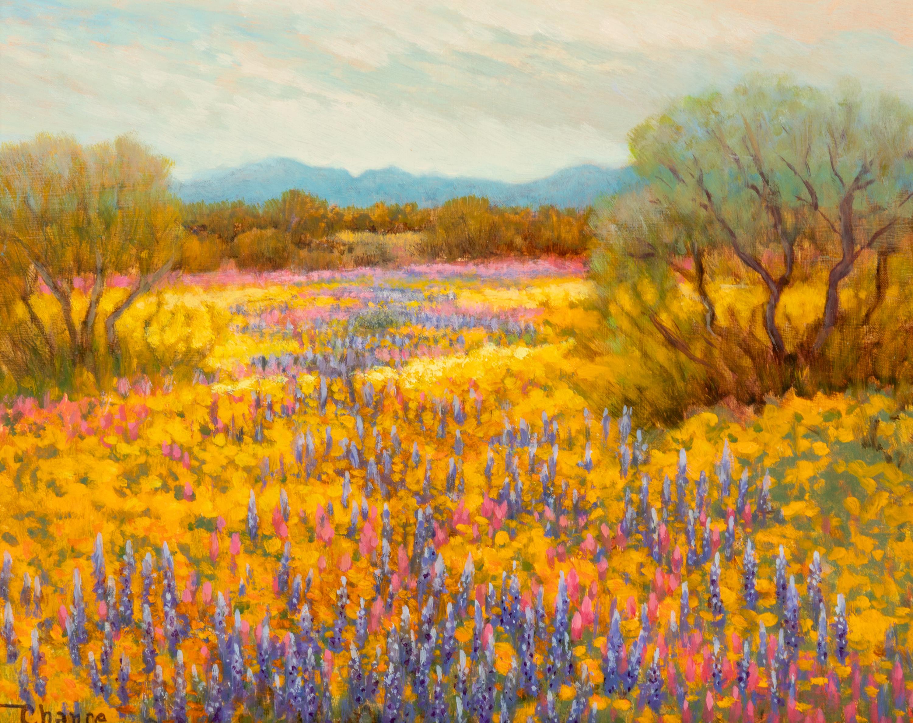 Desert Palette , 2001