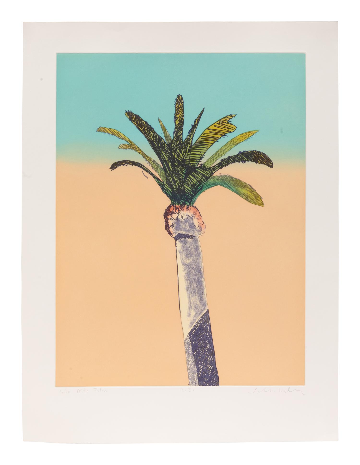 Palo Alto Palm , edition 3/30