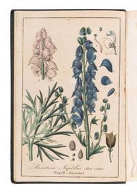 [BOTANY -- PLANT HYBRIDIZATION]. A group of 25 works, including: