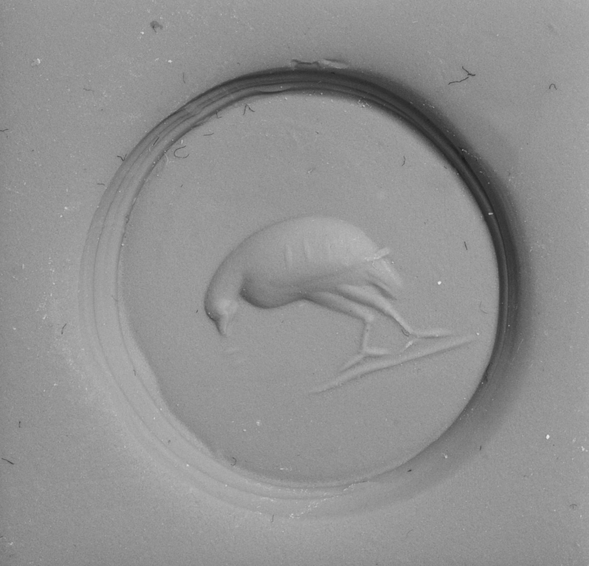 A Greco-Persian Blue Chalcedony Scaraboid with a Partridge