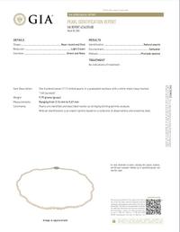 NATURAL PEARL NECKLACE