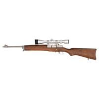 *Ruger Mini-14 with Tasco Scope