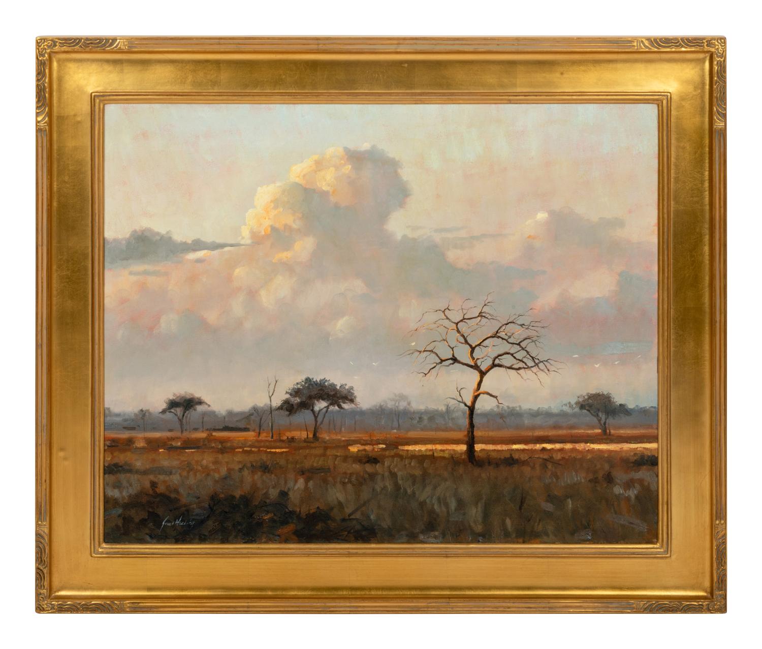 African Sky