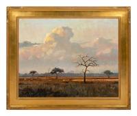 African Sky