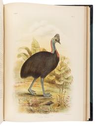 BROINOWSKI, Gracius Joseph (1837-1913). The Birds of Australia . Melbourne, Sydney, Adelaide, Brisbane, New Zealand and Tasmania: S.T. Leigh & Co. for Charles Stuart & Co., 1890-1891.