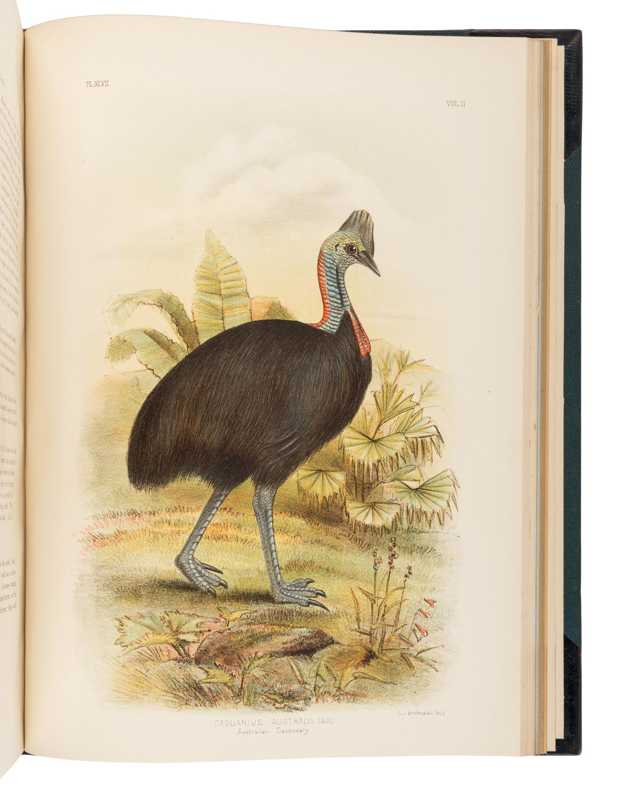 BROINOWSKI, Gracius Joseph (1837-1913). The Birds of Australia . Melbourne, Sydney, Adelaide, Brisbane, New Zealand and Tasmania: S.T. Leigh & Co. for Charles Stuart & Co., 1890-1891.