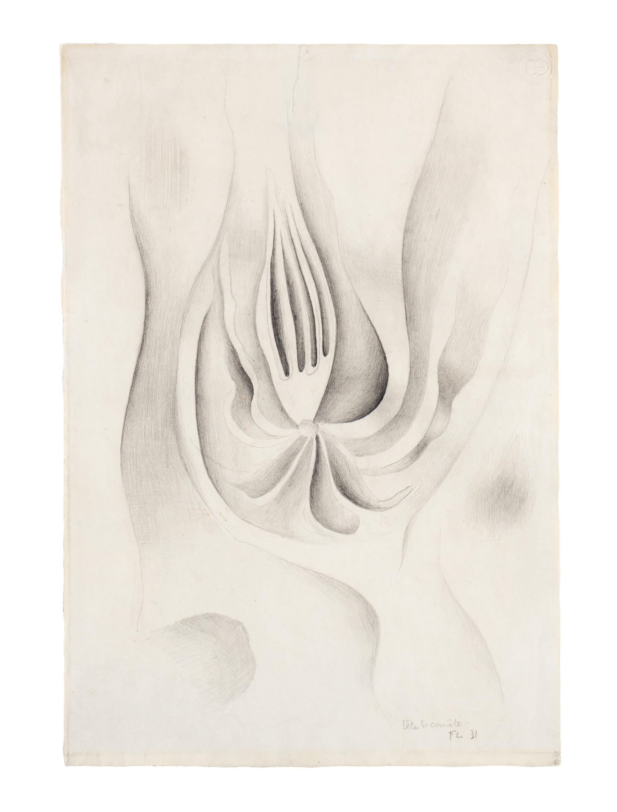 Tête de Comète , 1931