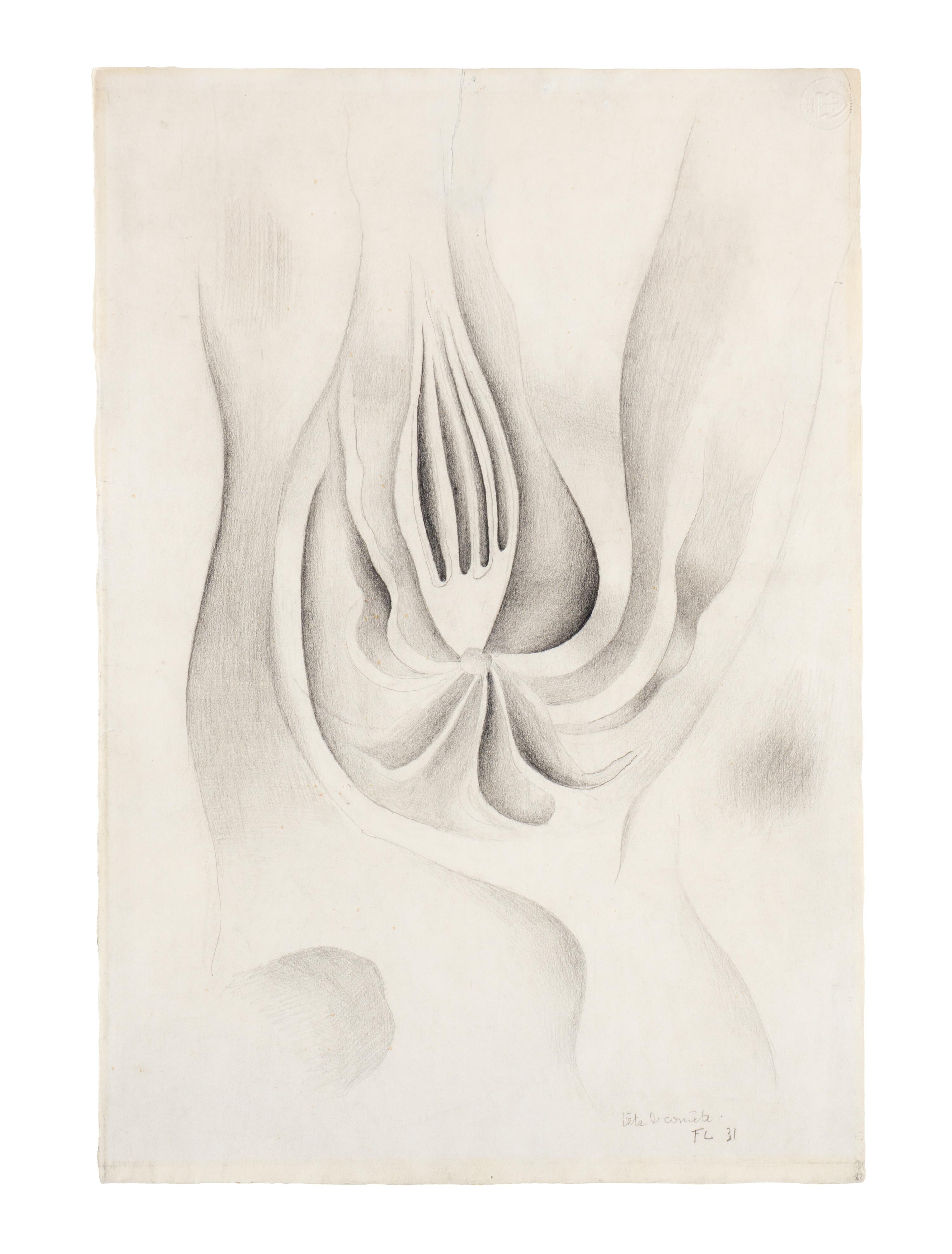 Tête de Comète , 1931