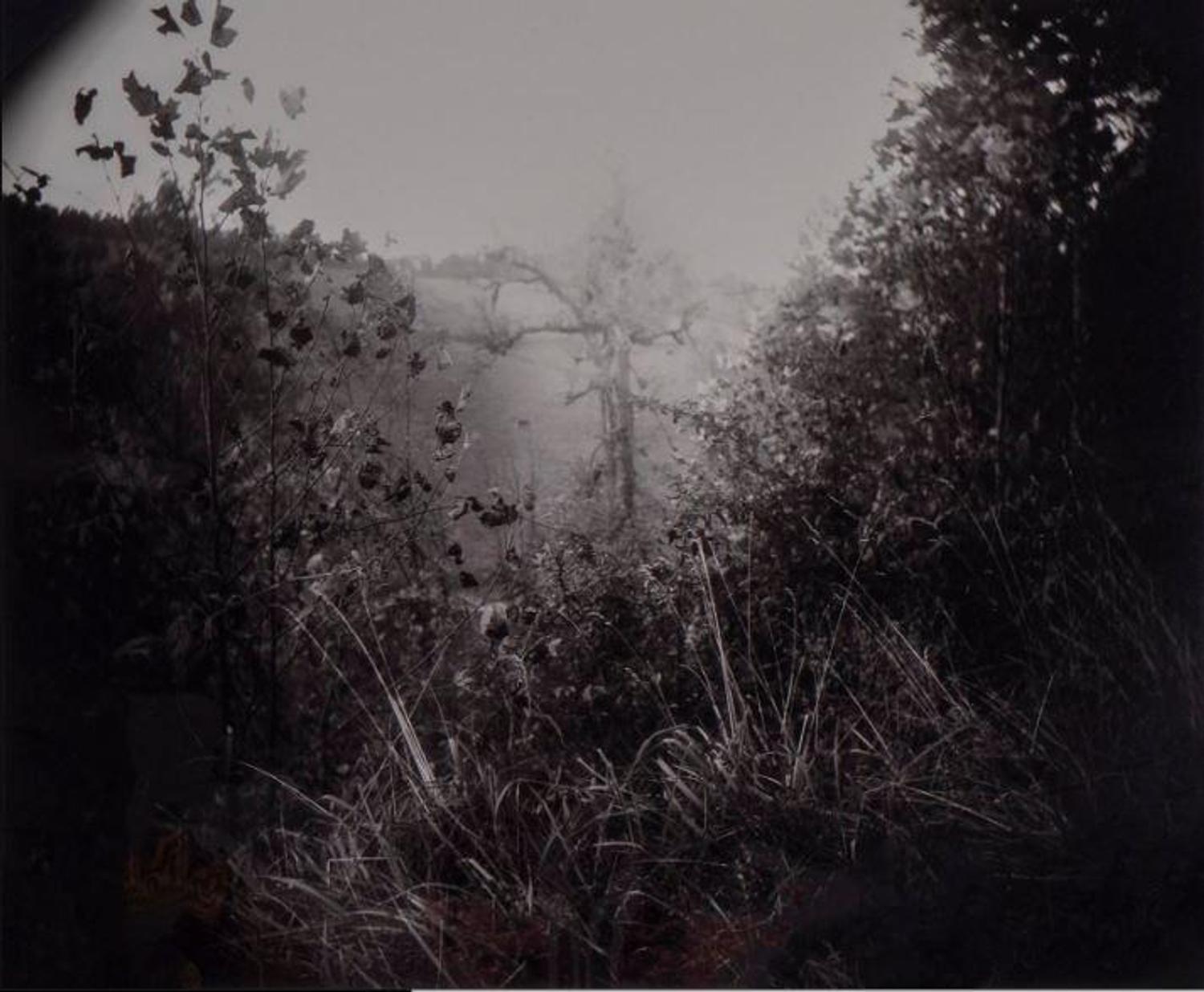 Untitled, circa 1995