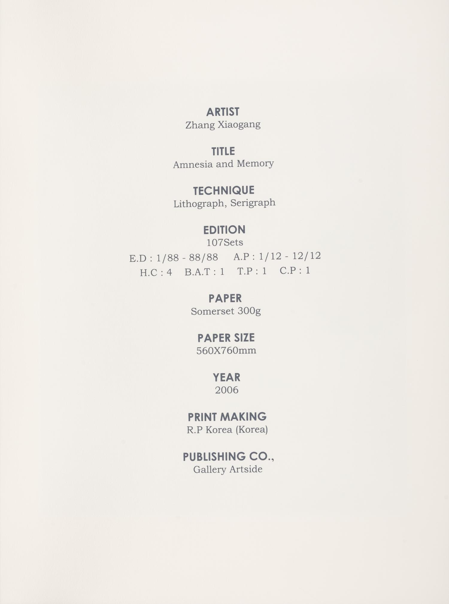 Amnesia and Memory Suite (complete portfolio of 12 with accompanying book and original lithograph, housed in original box) , 2006