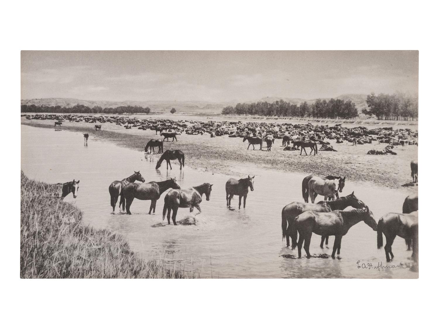 [WESTERN AMERICANA]. HUFFMAN, L.A., photog. 3 collotypes incl. Evening at the Round-up and horses.