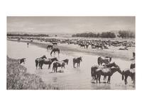 [WESTERN AMERICANA]. HUFFMAN, L.A., photog. 3 collotypes incl. Evening at the Round-up and horses.