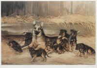 Four Works of Art depicting German Shepherds Largest: 12 1/4 x 14 1/2 inches.